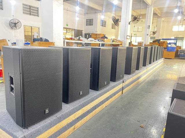 các dòng loa sandy trong nhà